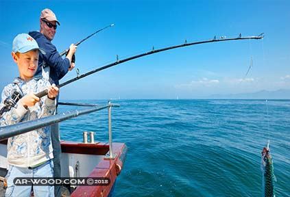 مواسم صيد السمك في البحر المتوسط
